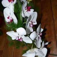 Bouquet avec Phalaenopsis blanc à coeur bordeaux