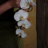 bouquet  de mariée moderne, fil de bonzai, phalaenopsis