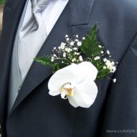 Boutonnière du marié