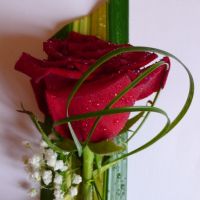 Boutonnière du marié, rose bordeaux sur feuille de pandanus