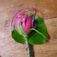 Boutonnière du marié,rose rose bugati avec fil de bonzai rose 