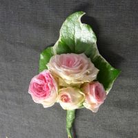 Boutonnière du marié,rose mini-eden sur feuille de lierre panaché