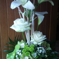 quelques photos de toute occasion